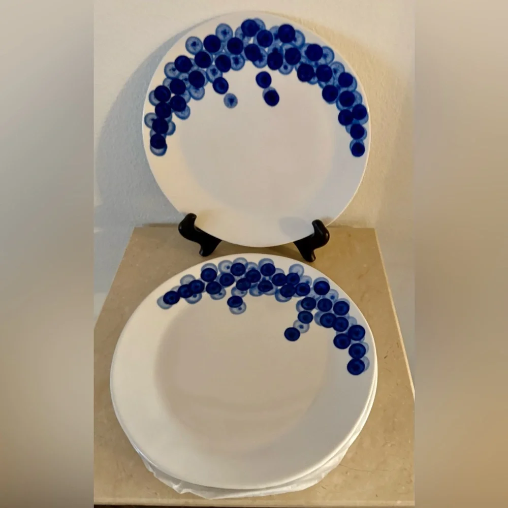COPY - 5 VTG Crate&Barrel RIKA salad/dessert plates. 8.75” Blueberries